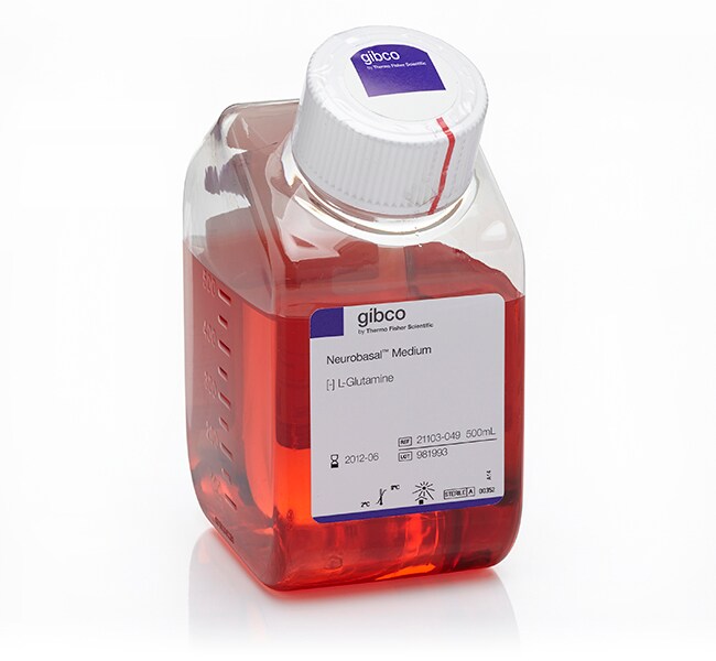 Gibco Neurobasal Medium